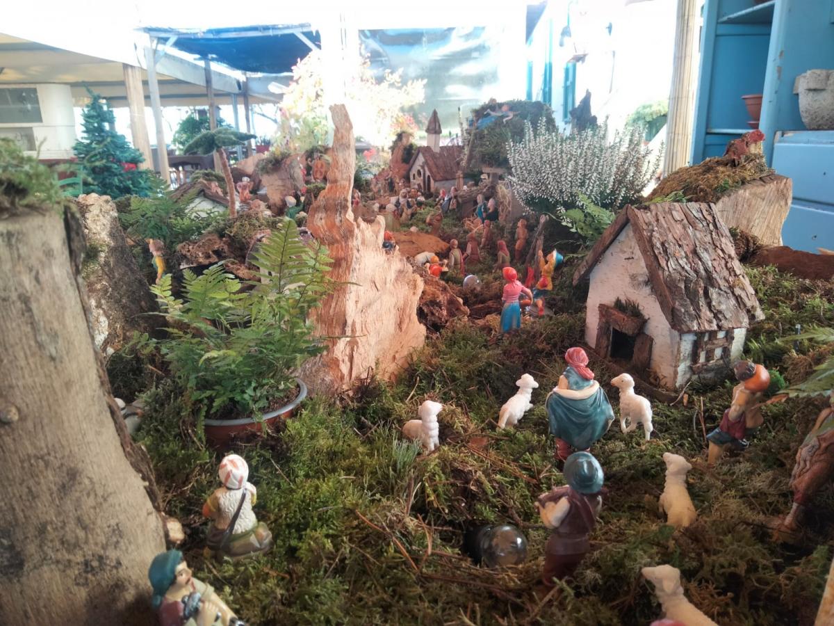 IMG-20240102-WA0009